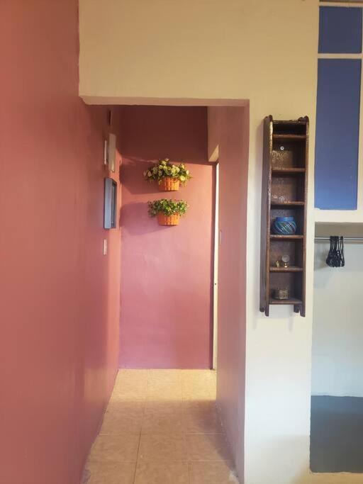 Om Studio Oaxaca Exteriér fotografie