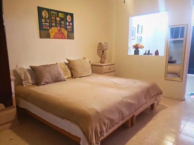 Om Studio Oaxaca Exteriér fotografie